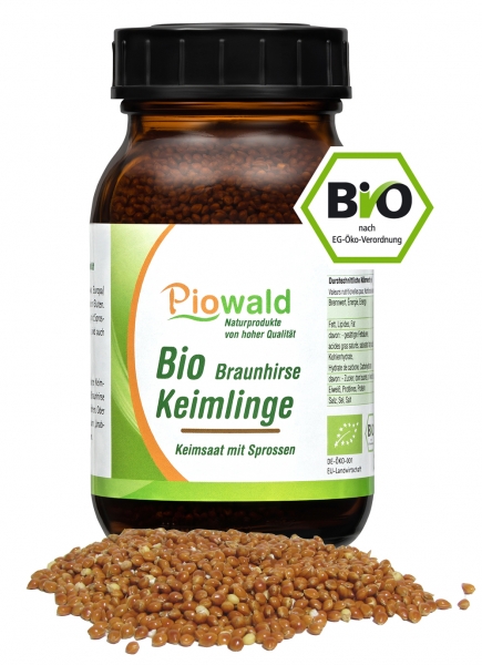 BIO Braunhirse Keimlinge - 200g glutenfrei